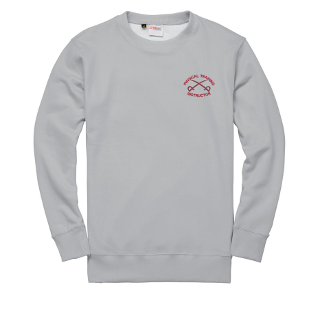 ASPT/AAPTI Sweater Grey